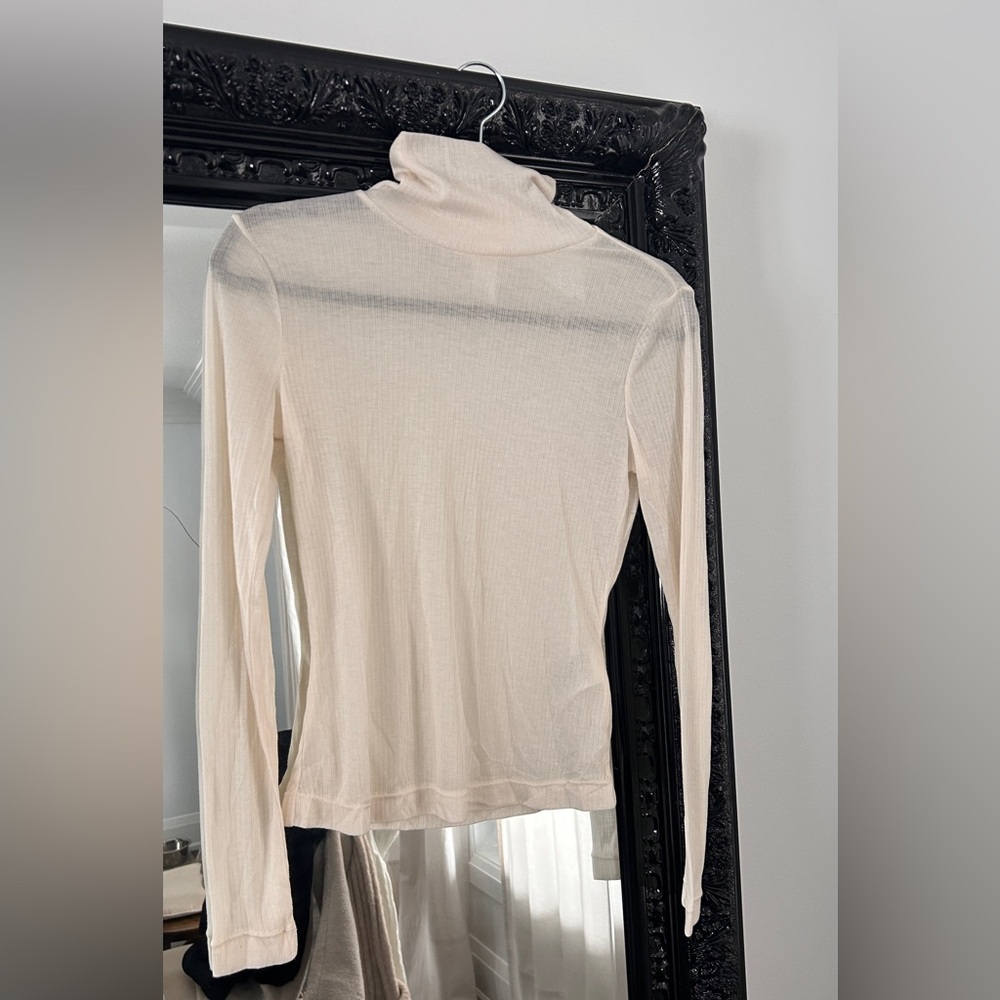 Sheer Long Sleeve Rib Knit Turtleneck
